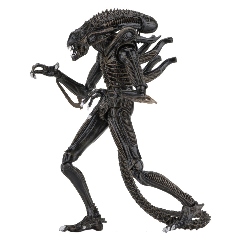 PRÉCOMMANDE - Aliens (1986)...