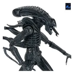 PREORDER - Aliens (1986) -...