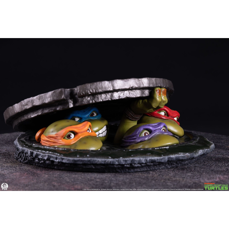Teenage Mutant Ninja...