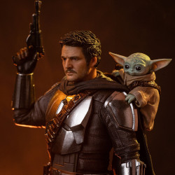 PRE ORDER - The Mandalorian...