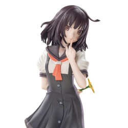 PRE ORDER - Monogatari...