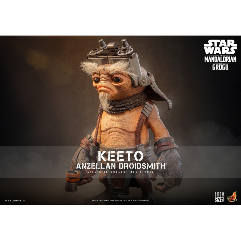PRÉCOMMANDE - Star Wars:...