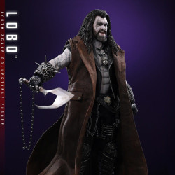 PRE ORDER - DC Comics,...