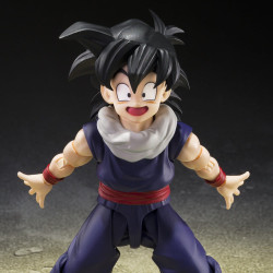 PRE ORDER - Dragon Ball Z -...
