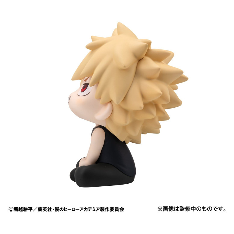 PRE ORDER - My Hero...