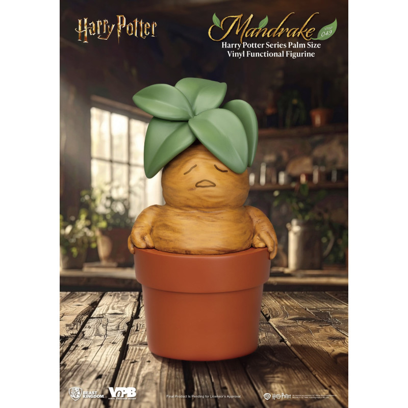PRE ORDER - Harry Potter -...