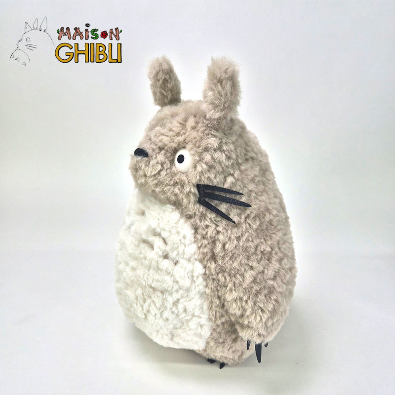 Studio Ghibli, My neighbor...