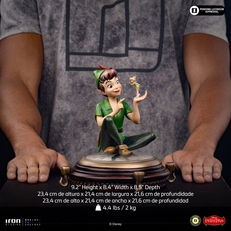 PRE ORDER - Disney, Peter...