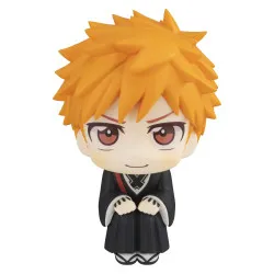 PRE ORDER - Bleach...