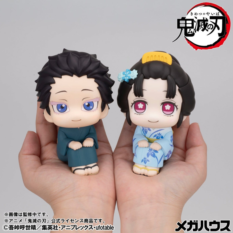 PRE ORDER - Demon Slayer:...