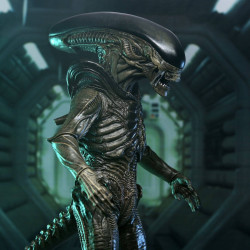 PRE ORDER - Alien: Earth -...