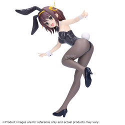 The Melancholy of Haruhi...