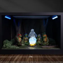 PRÉCOMMANDE - Les Tortues...