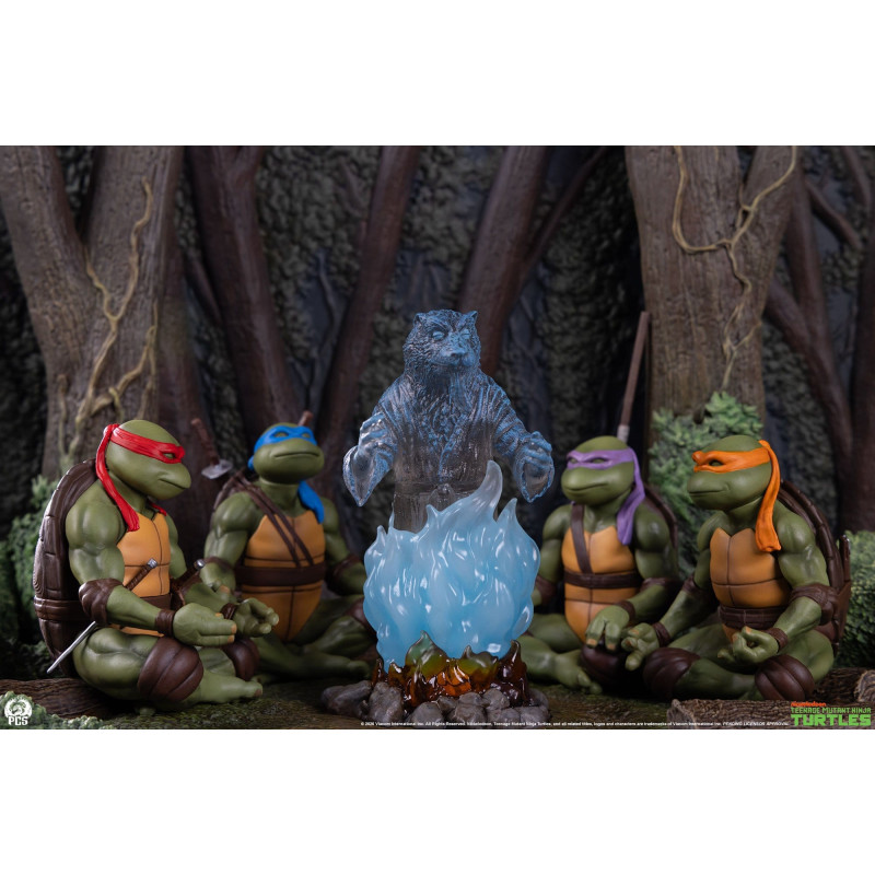 PRÉCOMMANDE - Les Tortues...