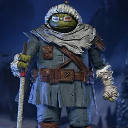 PREORDER - Teenage Mutant...