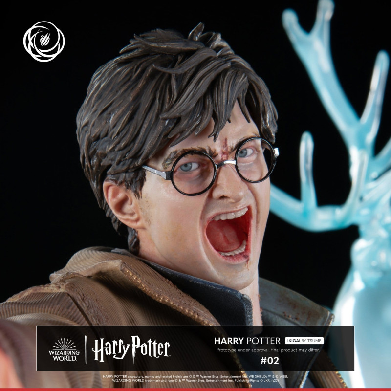 PREORDER - Harry Potter -...