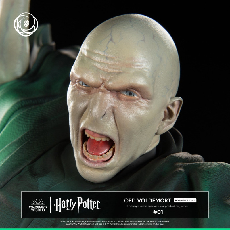 PRÉCOMMANDE - Harry Potter...