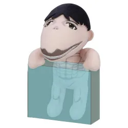 PRE ORDER - Attack on Titan...