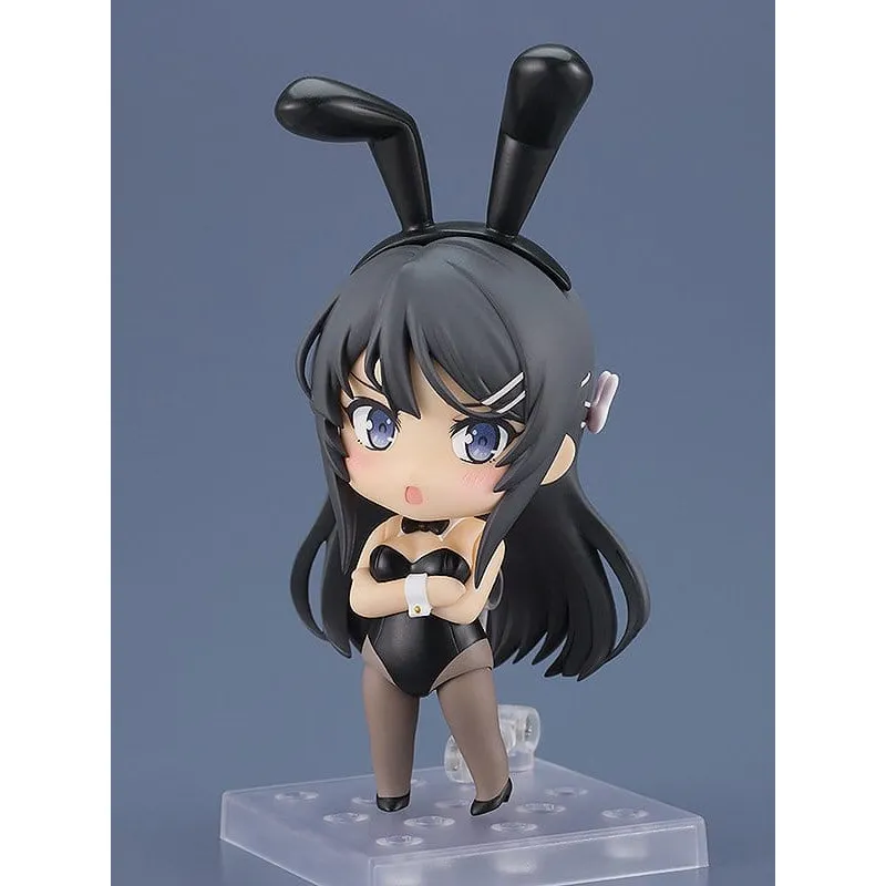 PREORDER - Rascal Does Not...