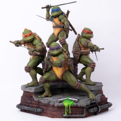 PRÉCOMMANDE - Les Tortues...