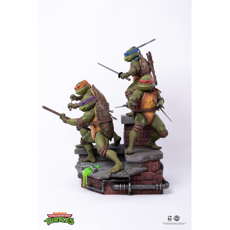 PRÉCOMMANDE - Les Tortues...