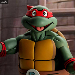 Teenage Mutant Ninja...