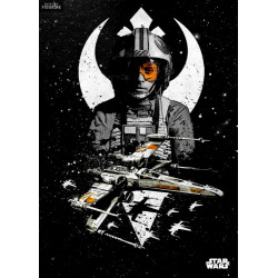 Poster métallique Star Wars...