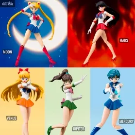 Pretty Guardian Sailor Moon...