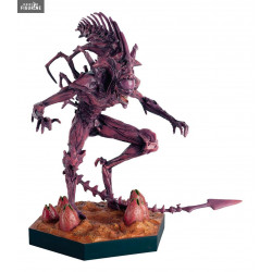 The Alien & Predator - King...