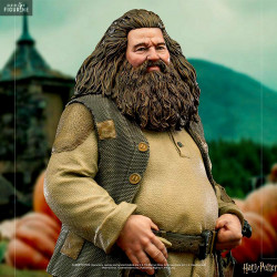Harry Potter - Hagrid...