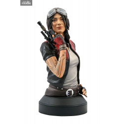 Star Wars - Dr Aphra chest