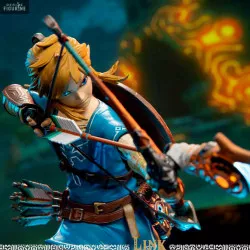The Legend of Zelda Breath...