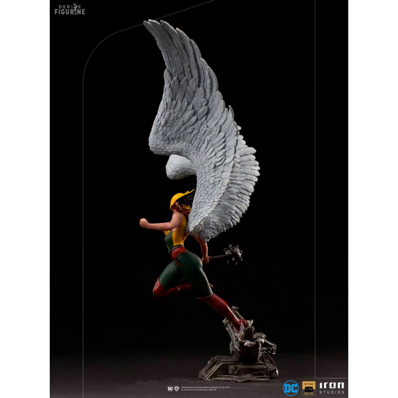 DC Comics - Hawkgirl...