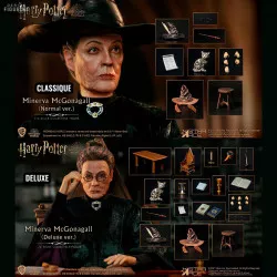 Harry Potter - Figurine...