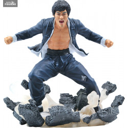 Bruce Lee figure Earth,...