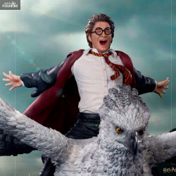 Harry Potter - Harry Potter...