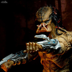 Predator 2018 - Assassin...