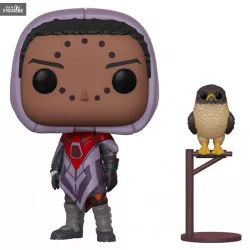 Pop! Destiny - Hawthorne...