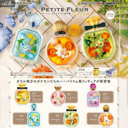 Pokemon - Petite Fleur...