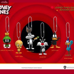 Pack 6 porte-clés Looney...
