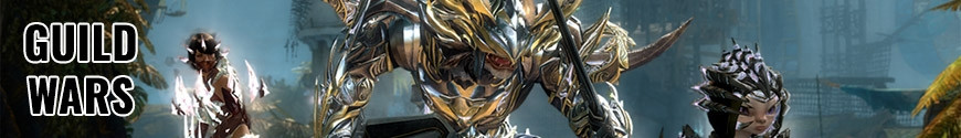 Figurines Guild Wars et produits dérivés