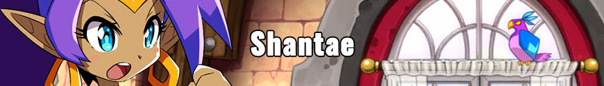 Figures and merchandising products Shantae