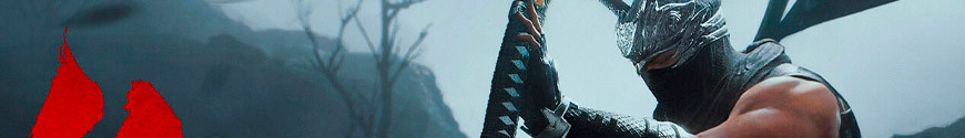 Figurines Ninja Gaiden et produits dérivés