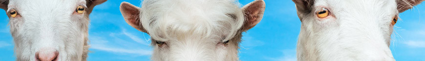 Figurines Goat Simulator et produits dérivés