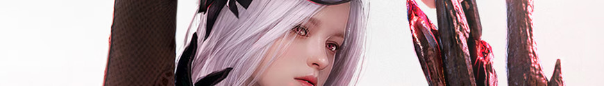 Figurines Black Desert  et produits dérivés