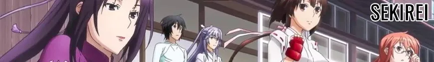 Figurines Sekirei et produits dérivés