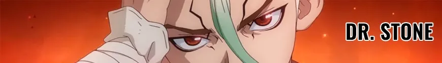 Dr. Stone