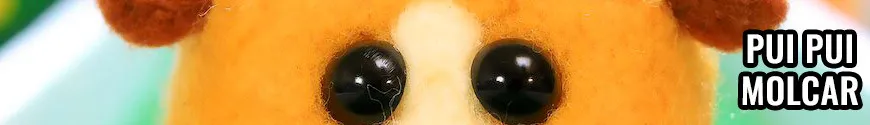 Pui Pui Molcar