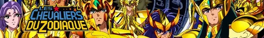 Saint Seiya, Les Chevaliers du Zodiaque