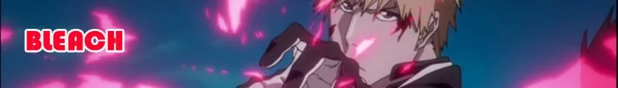Bleach